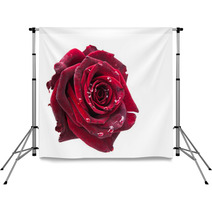 Dark Red Rose Backdrops 57125676
