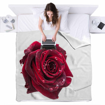 Dark Red Rose Blankets 57125676