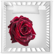 Dark Red Rose Nursery Decor 57125676