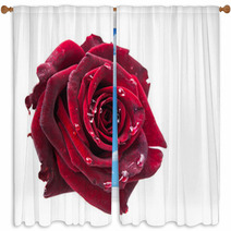 Dark Red Rose Window Curtains 57125676