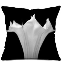 Datura Flower Pillows 40563008