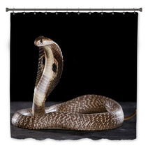 Deadly Cobra On Table.. What A Beauty Bath Decor 63143733