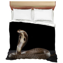 Deadly Cobra On Table.. What A Beauty Bedding 63143733