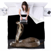 Deadly Cobra On Table.. What A Beauty Blankets 63143733