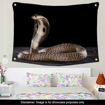 Deadly Cobra On Table.. What A Beauty Wall Art 63143733