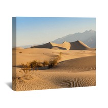 Death Valley Desert Wall Art 70124983