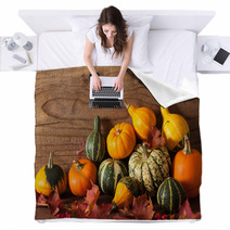 Decorative Mini Pumpkins On Wooden Background Blankets 68792573