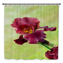 Deep Red Color Iris Flower Bath Decor 51887781