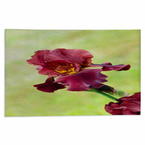 Deep Red Color Iris Flower Rugs 51887781