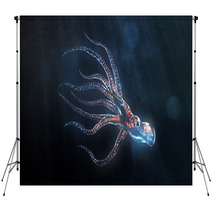 Deep Sea Octopus Backdrops 35207316