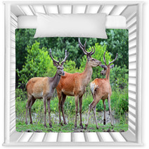 Deer Altai Nursery Decor 54547853