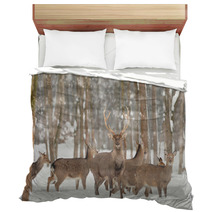 Deer Bedding 48192004
