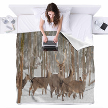 Deer Blankets 48192004