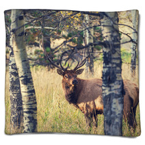 Deer Blankets 71929887