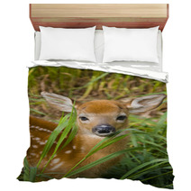 Deer Fawn Bedding 40551626