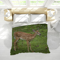 Deer Fawn Bedding 47086256
