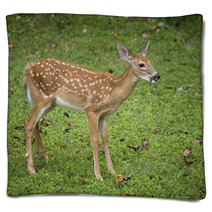 Deer Fawn Blankets 47086256