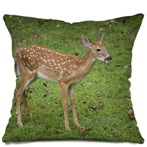 Deer Fawn Pillows 47086256