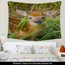Deer Fawn Wall Art 40551626