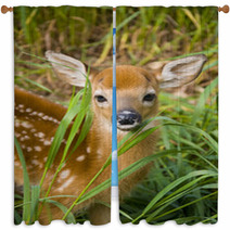 Deer Fawn Window Curtains 40551626