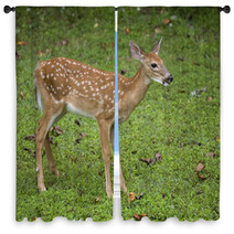 Deer Fawn Window Curtains 47086256
