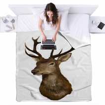Deer Head On A White Background Blankets 40983724