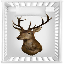 Deer Head On A White Background Nursery Decor 40983724