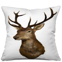 Deer Head On A White Background Pillows 40983724