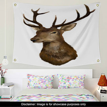 Deer Head On A White Background Wall Art 40983724