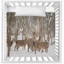 Deer Nursery Decor 48192004