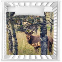 Deer Nursery Decor 71929887