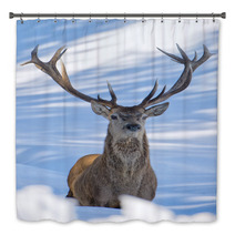 Deer On The Snow Background Bath Decor 62450692