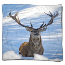 Deer On The Snow Background Blankets 62450692