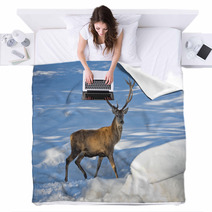 Deer On The Snow Background Blankets 70016485