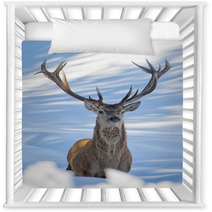 Deer On The Snow Background Nursery Decor 62450692