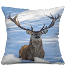 Deer On The Snow Background Pillows 62450692