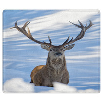 Deer On The Snow Background Rugs 62450692