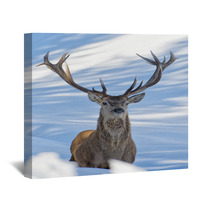 Deer On The Snow Background Wall Art 62450692