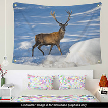 Deer On The Snow Background Wall Art 70016485