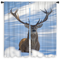Deer On The Snow Background Window Curtains 62450692