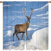 Deer On The Snow Background Window Curtains 70016485