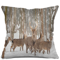 Deer Pillows 48192004