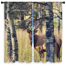 Deer Window Curtains 71929887