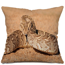 Defensive Puff Adder, Kalahari Desert Pillows 69129243