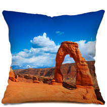 Delicate Arch In Arches National Park, Utah. Pillows 51212911