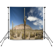 Desert Cacti, Argentina Backdrops 42470802