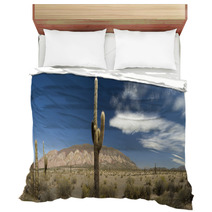 Desert Cacti, Argentina Bedding 42470802