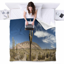Desert Cacti, Argentina Blankets 42470802