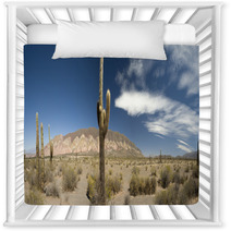 Desert Cacti, Argentina Nursery Decor 42470802