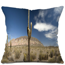 Desert Cacti, Argentina Pillows 42470802